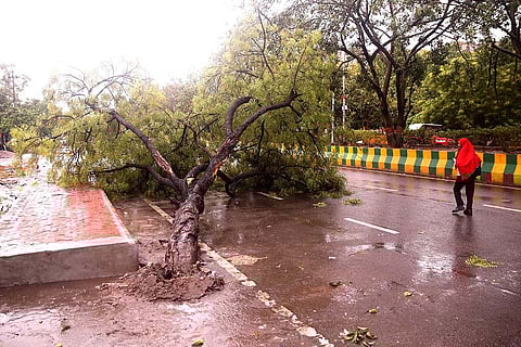 Weather: Rains in Noida
